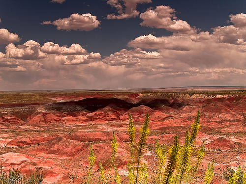On the Back Side of the&nbsp;Desert.