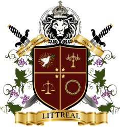 Coat of Arms framed new lion 11x16